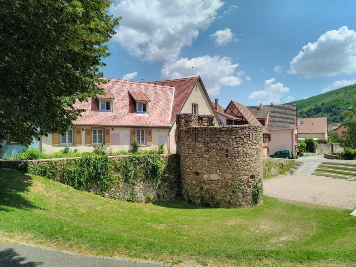 La Grande Terrine - Gites Les Potiers Kaysersberg-Vignoble Bagian luar foto