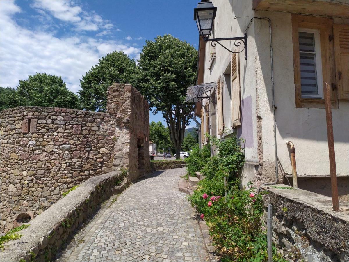 La Grande Terrine - Gites Les Potiers Kaysersberg-Vignoble Bagian luar foto