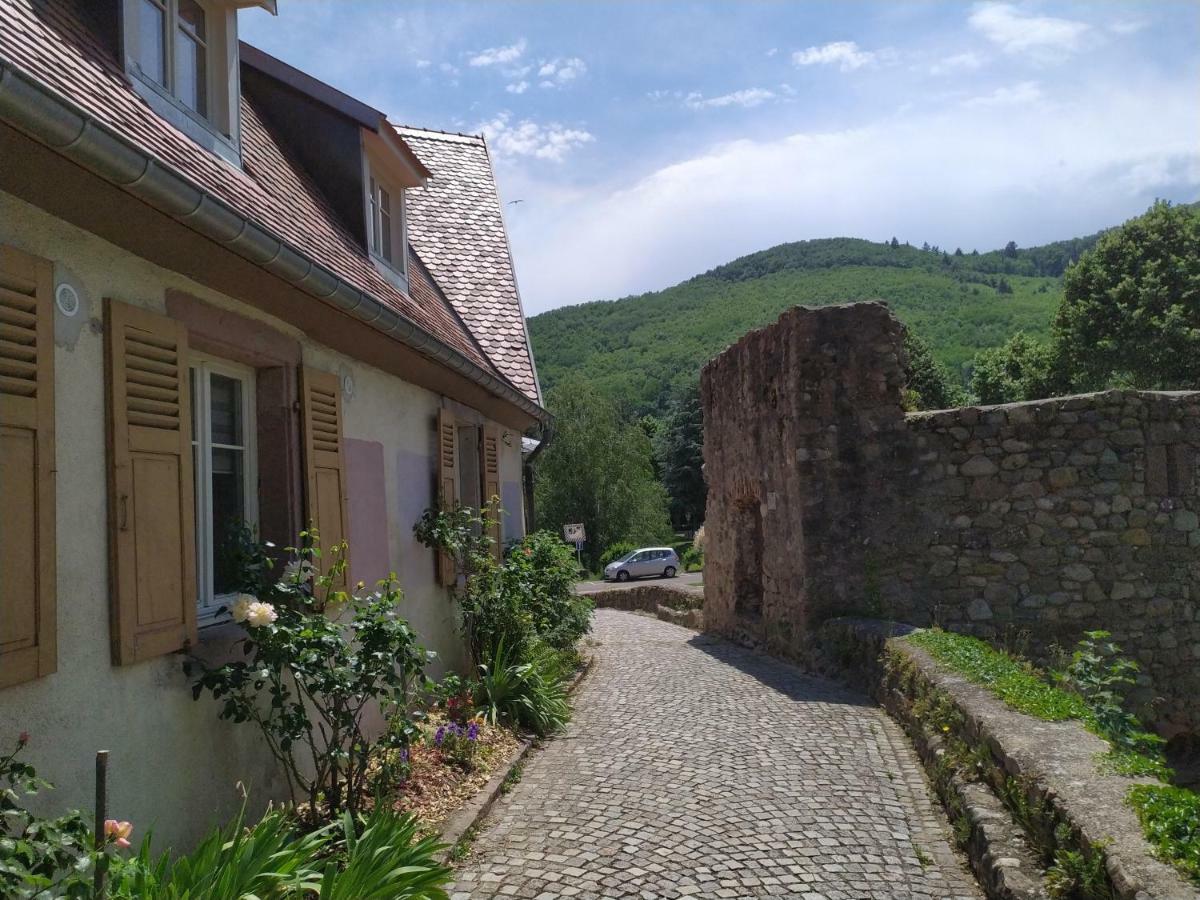 La Grande Terrine - Gites Les Potiers Kaysersberg-Vignoble Bagian luar foto