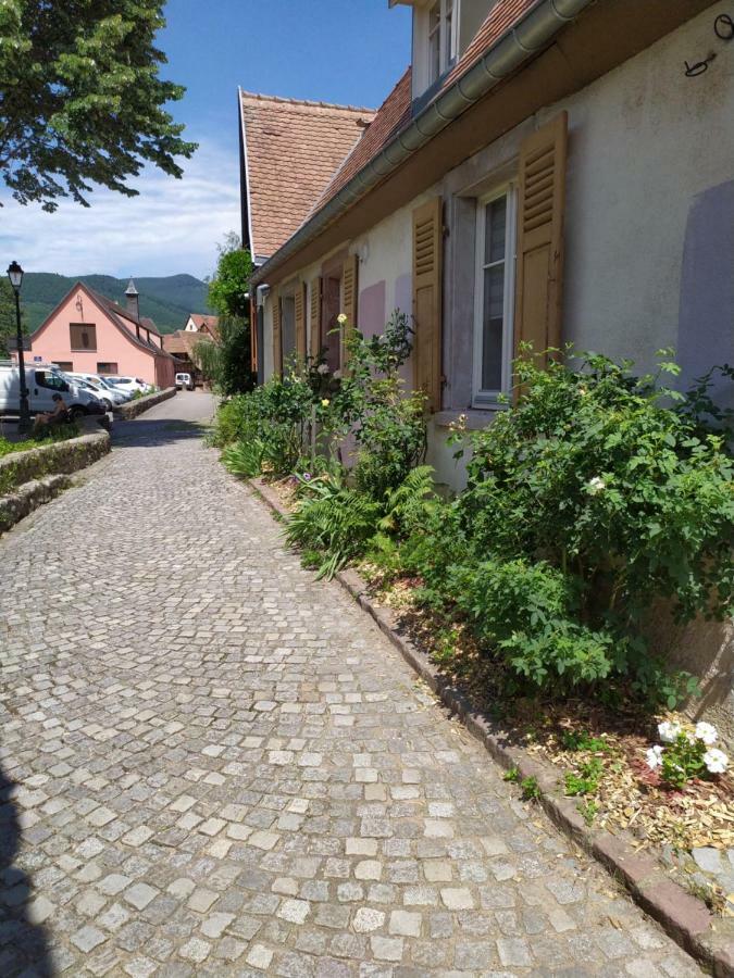 La Grande Terrine - Gites Les Potiers Kaysersberg-Vignoble Bagian luar foto